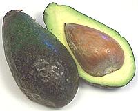 Zutano Avocado