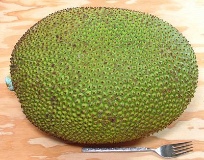 Whole Jackfruit