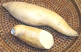 White Sweet Potato