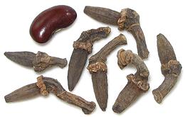 Dried Kapok Flower buds, small