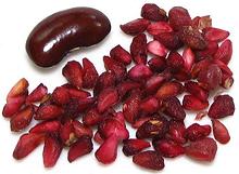 Dried Pomegranate Seeds