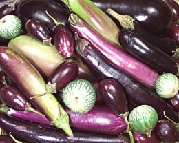 Assorted Eggplants