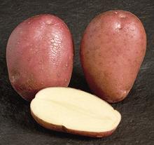 Irish Rooster Potatoes