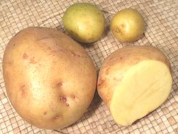 Yukon Gold potatoes