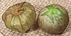 Tomatillo