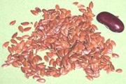 Flax Seeds