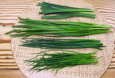 Several varieties of Chives