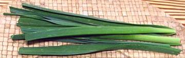 Bunch of Tarah Chive Leaves