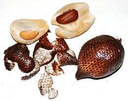 Salak Palm Fruit, whole and split