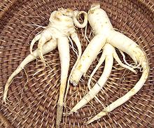 Ginseng Roots