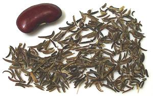 Black Cumin Seeds