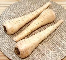 Parsnip Roots