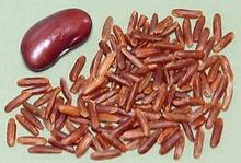 Himalayan Red Rice Grains