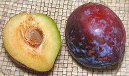 Whole & Cut Giant Plum