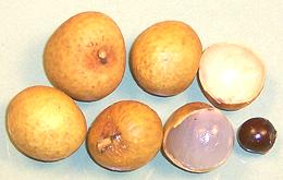 Longan Fruit