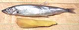 Capelin