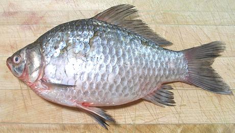 Whole Prussian Carp