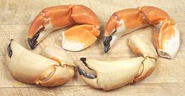 Stone Crab Claws 03e