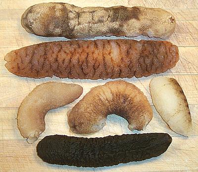 Assorted Sea Cucumbers