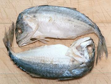 Prepared Short Mackerel