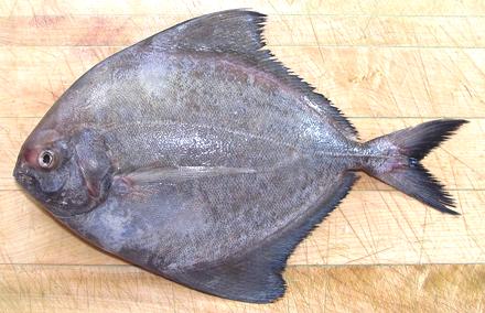 Whole Black Pomfret