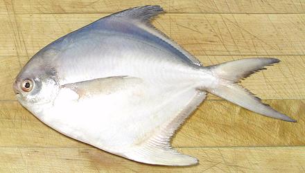 Whole Silver Pomfret