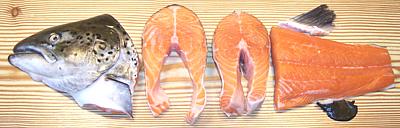 Salmon, cut for sale