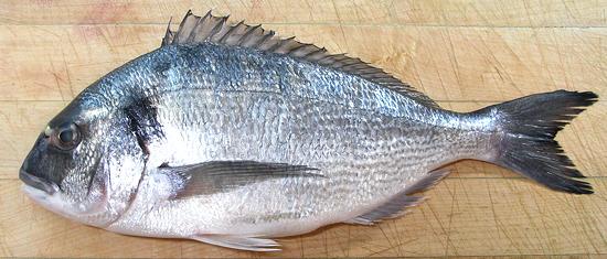 Whole Gilt-head Seabream