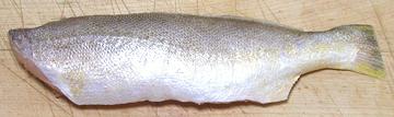 Pan Dressed King Weakfish