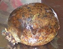 Whole Haggis