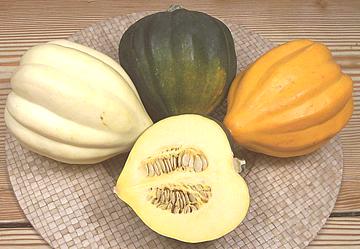 Acorn Squash