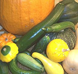 Mix of various Squash