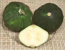 Scalopini Squash