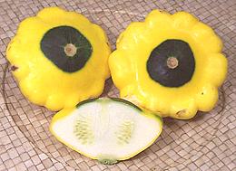 Sunburst Squash