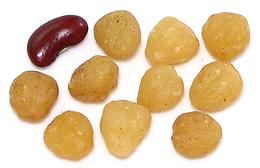 Njangsa Seed Kernels