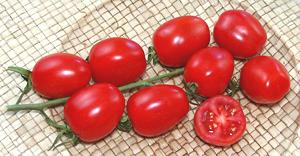 Whole and Cut Strawberry Tomatoes