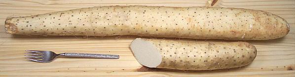 Whole and Cut Nagaimo Yam