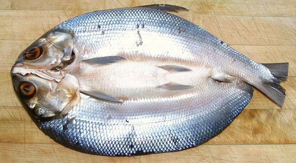 Store Prepared Bangus, Outside